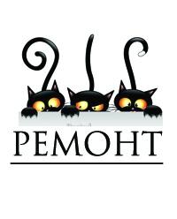 Кот ремонт