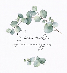 Scandi (Сканди), фотостудия