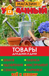 Удачный