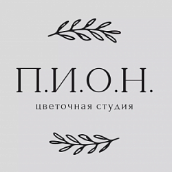 П.И.О.Н